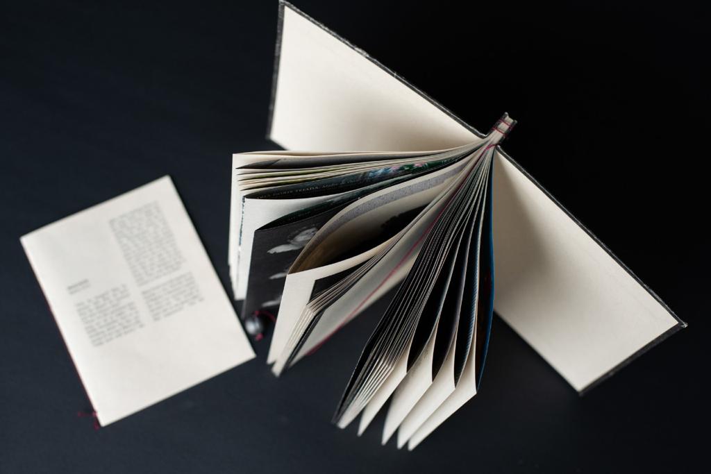 WhatsApp Image 2022-11-15 at 2.40.59 PM